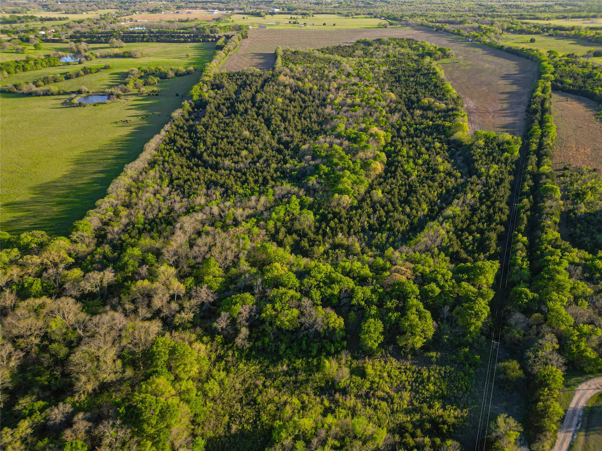 000 S Highway 121 Highway Bonham TX 75418