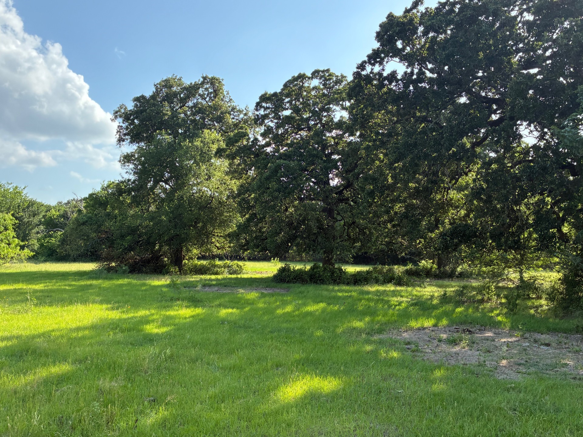 Tbd County Road 1128 Streetman TX 75859