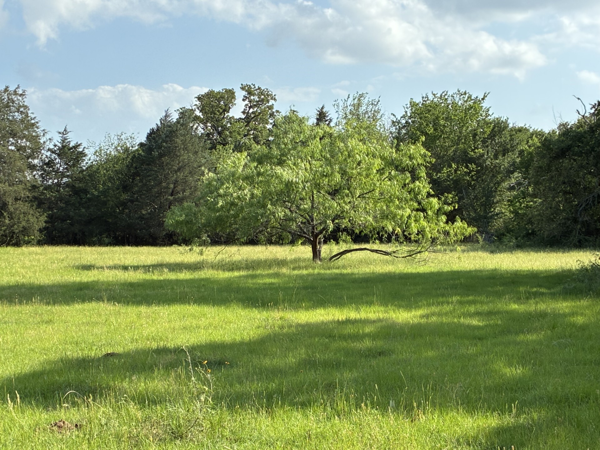 Tbd County Road 1128 Streetman TX 75859