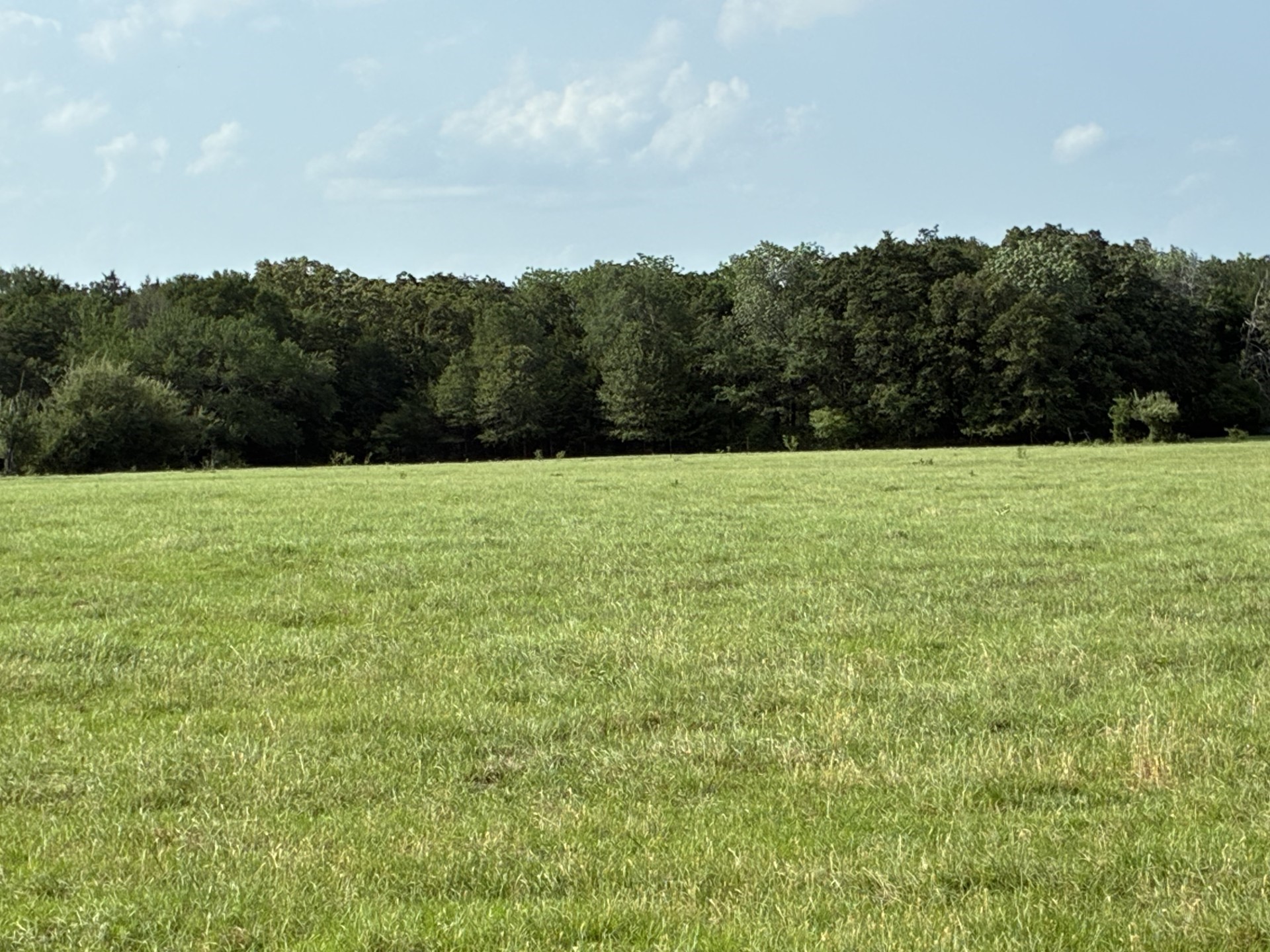 Tbd County Road 1128 Streetman TX 75859