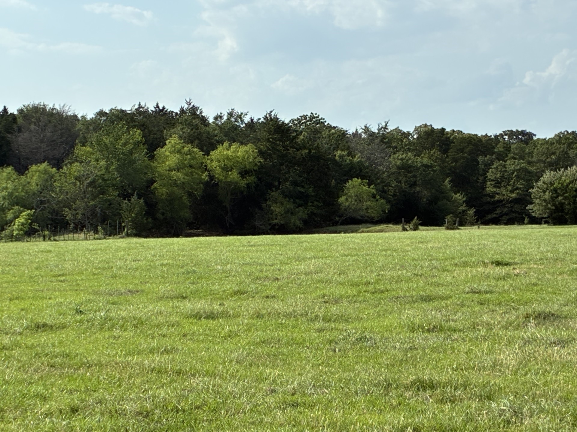 Tbd County Road 1128 Streetman TX 75859