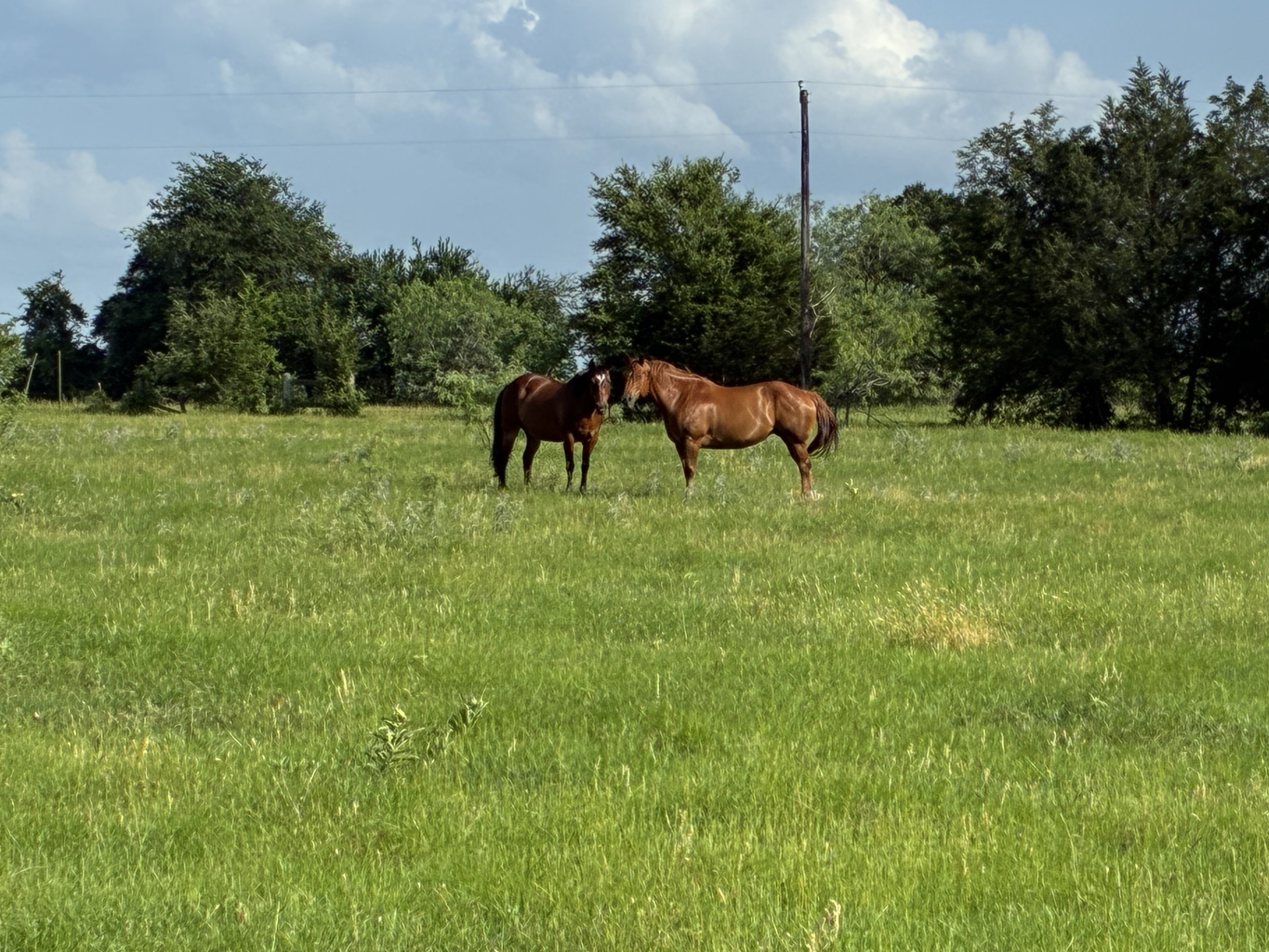 Tbd County Road 1128 Streetman TX 75859