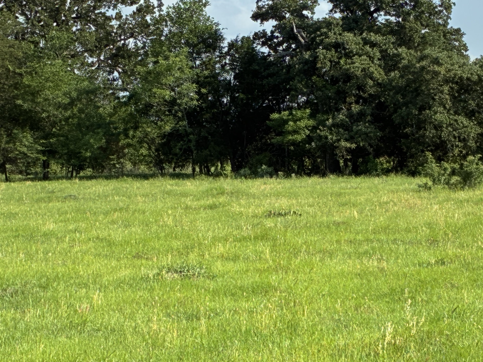 Tbd County Road 1128 Streetman TX 75859