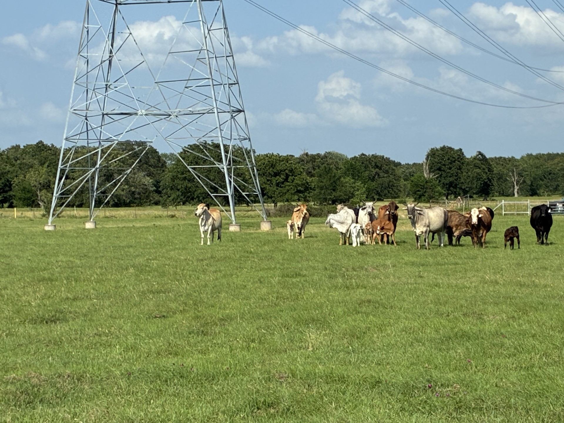 Tbd County Road 1128 Streetman TX 75859