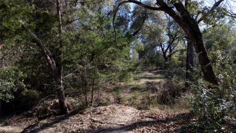440 Boulton Creek Road Flatonia TX 78949