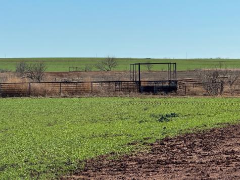 Tbd Fm 422 Seymour TX 76380