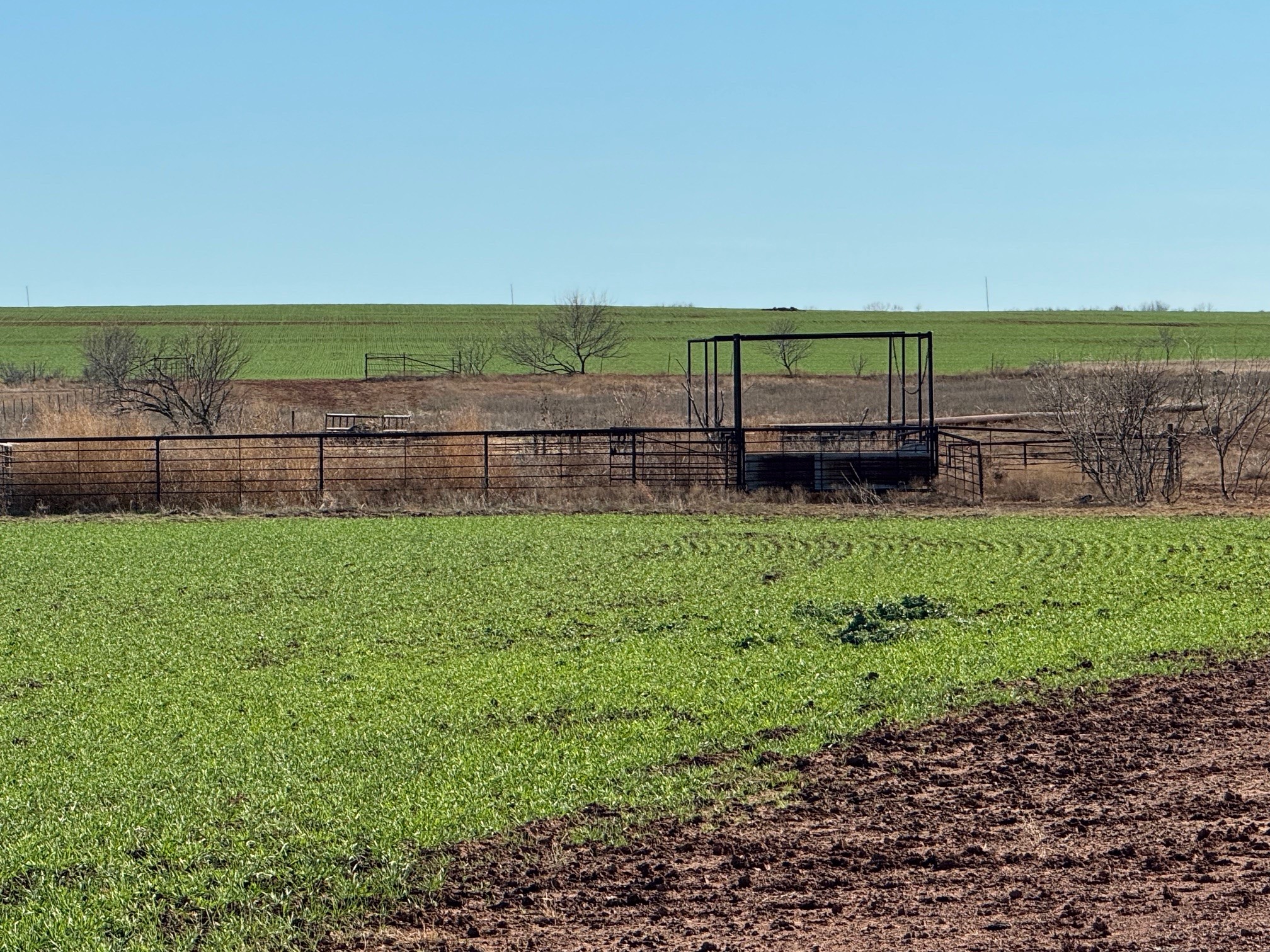Tbd Fm 422 Seymour TX 76380
