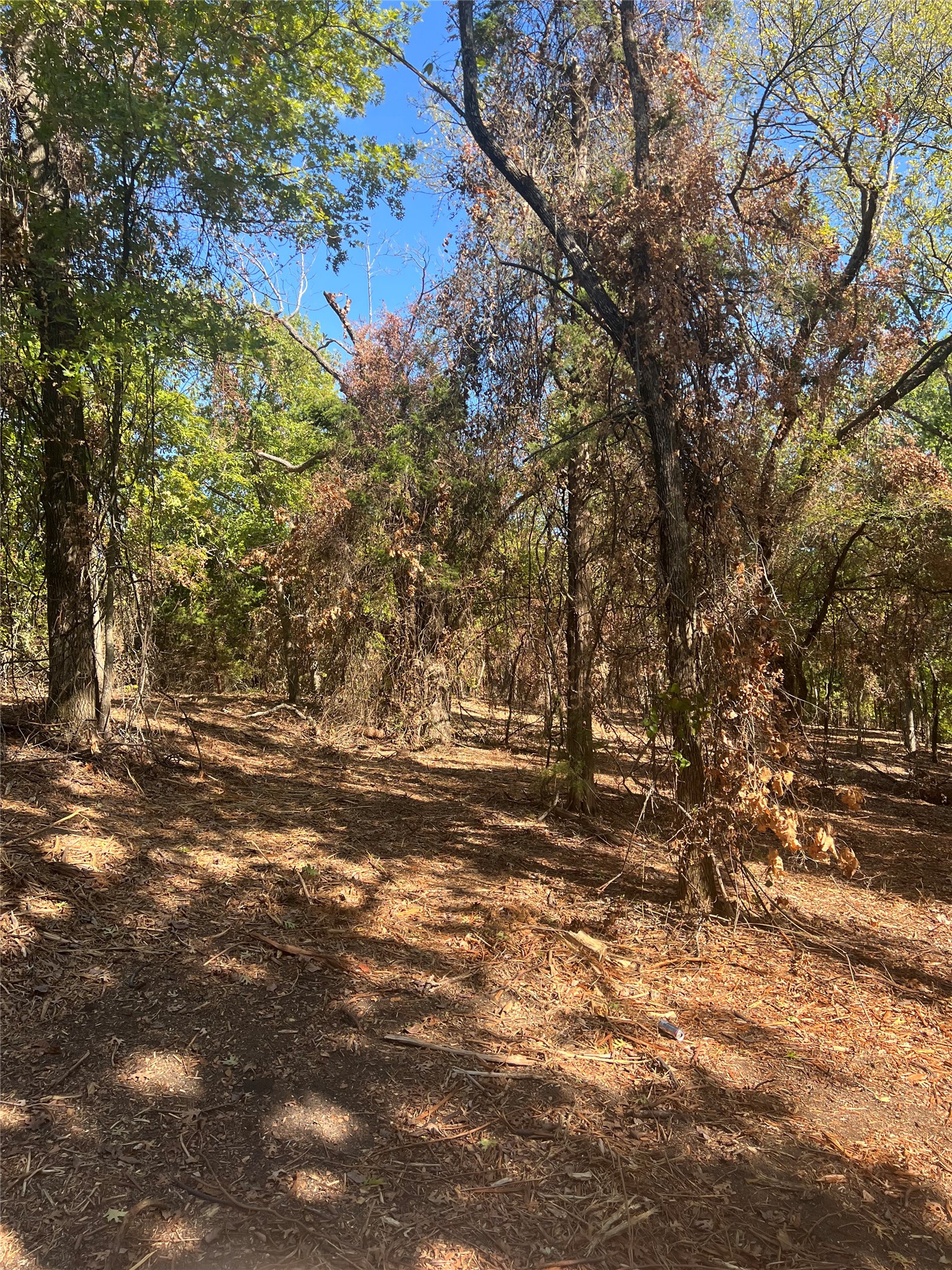 TBD1 Rochelle Cannon Road Whitewright TX 75491
