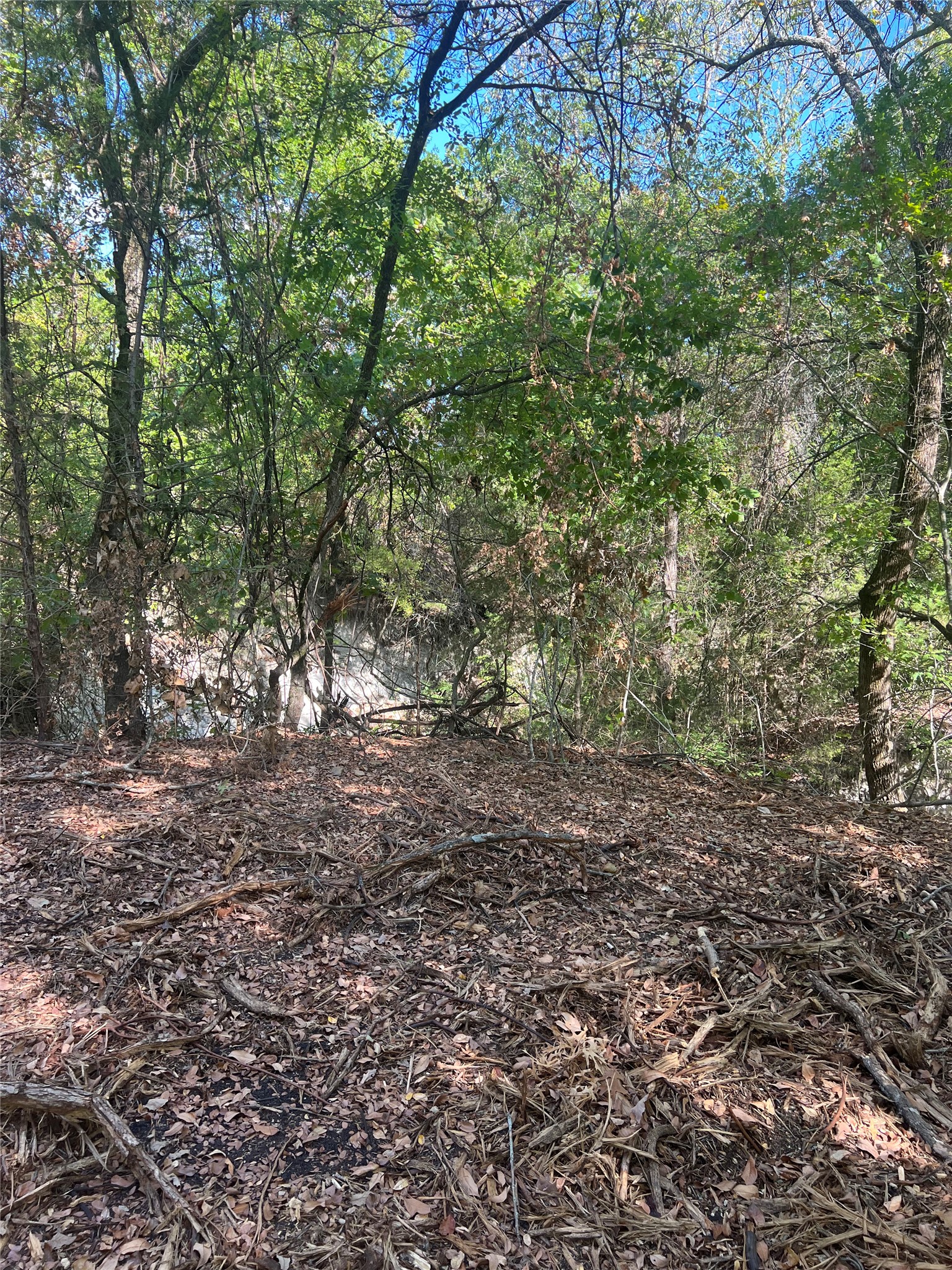 TBD1 Rochelle Cannon Road Whitewright TX 75491