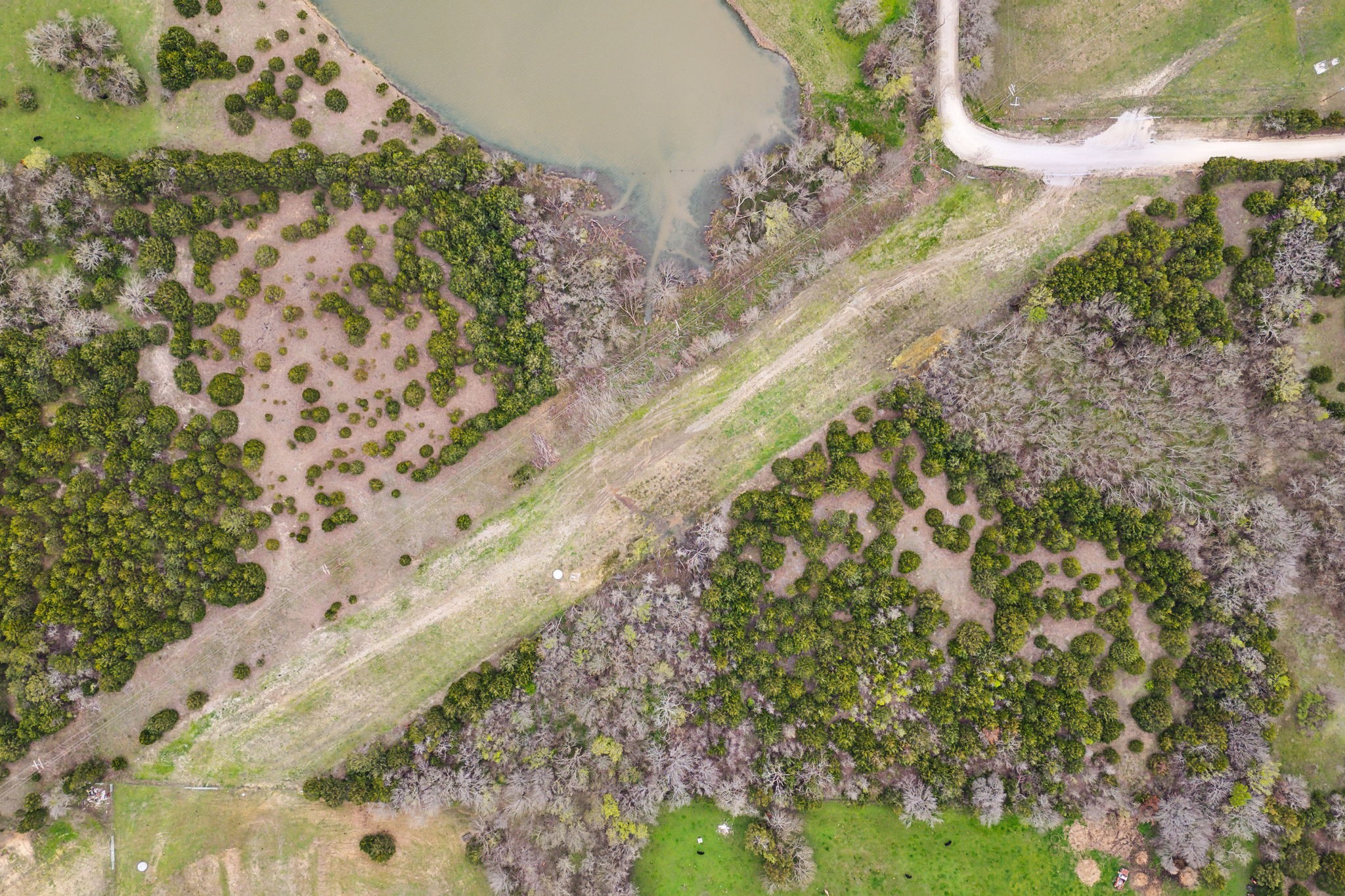 25.256 Acres Cr-672 Blue Ridge TX 75424