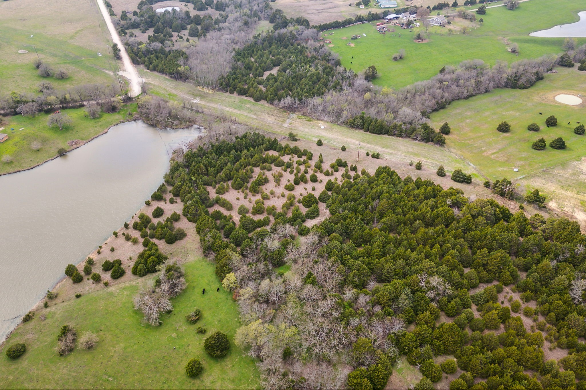 25.256 Acres Cr-672 Blue Ridge TX 75424