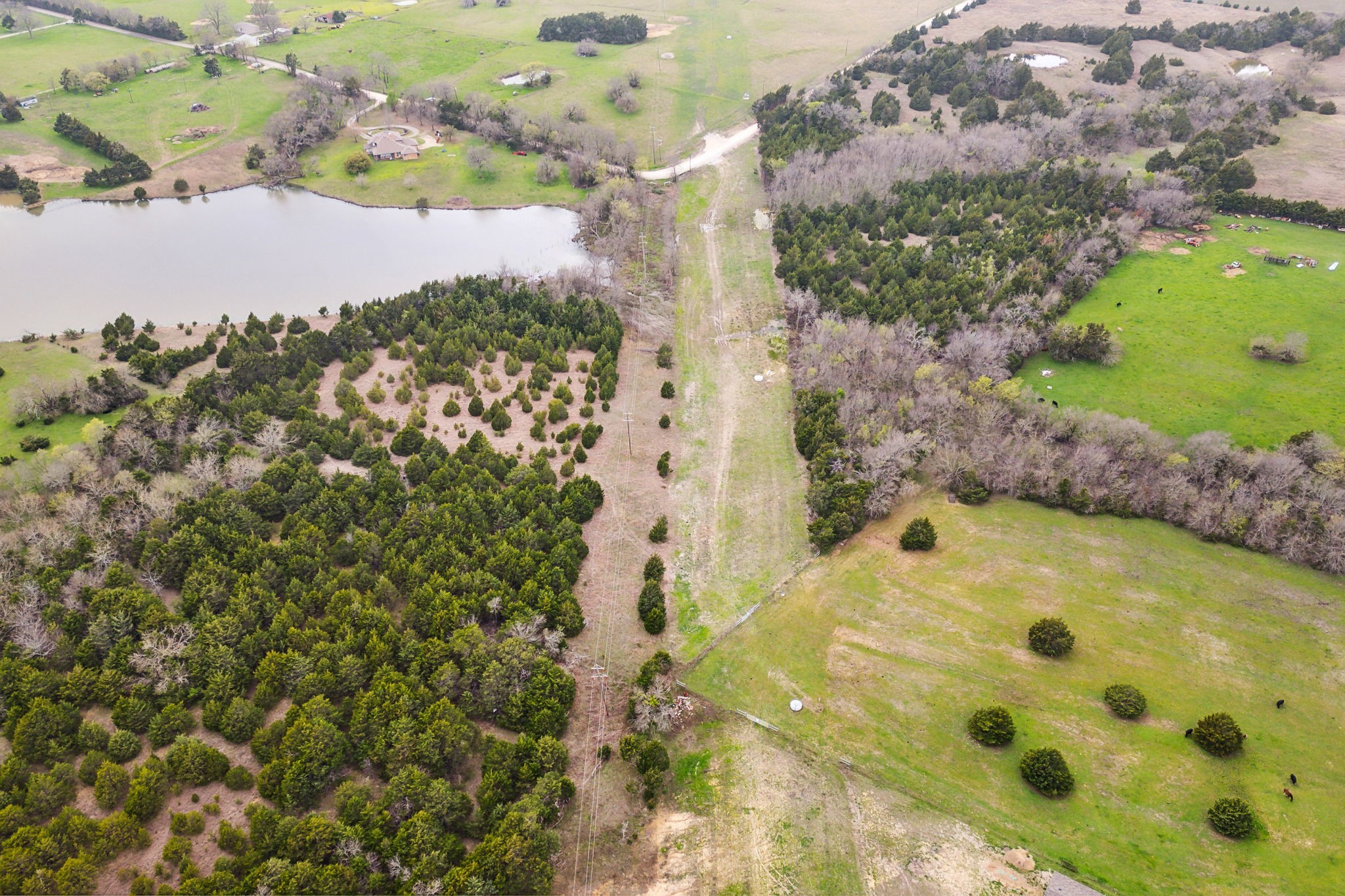 25.256 Acres Cr-672 Blue Ridge TX 75424