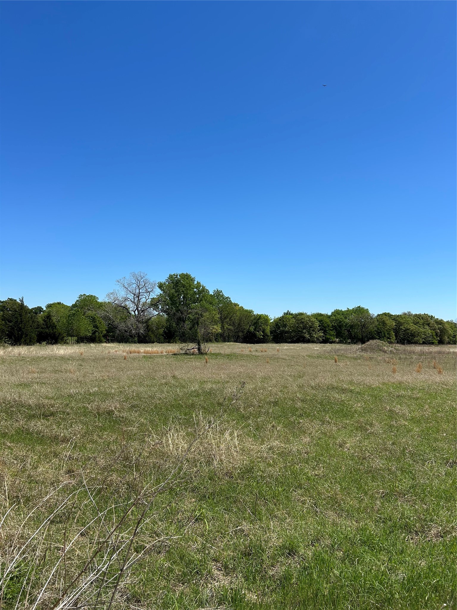 3380 Upper Montague Road Bowie TX 76230