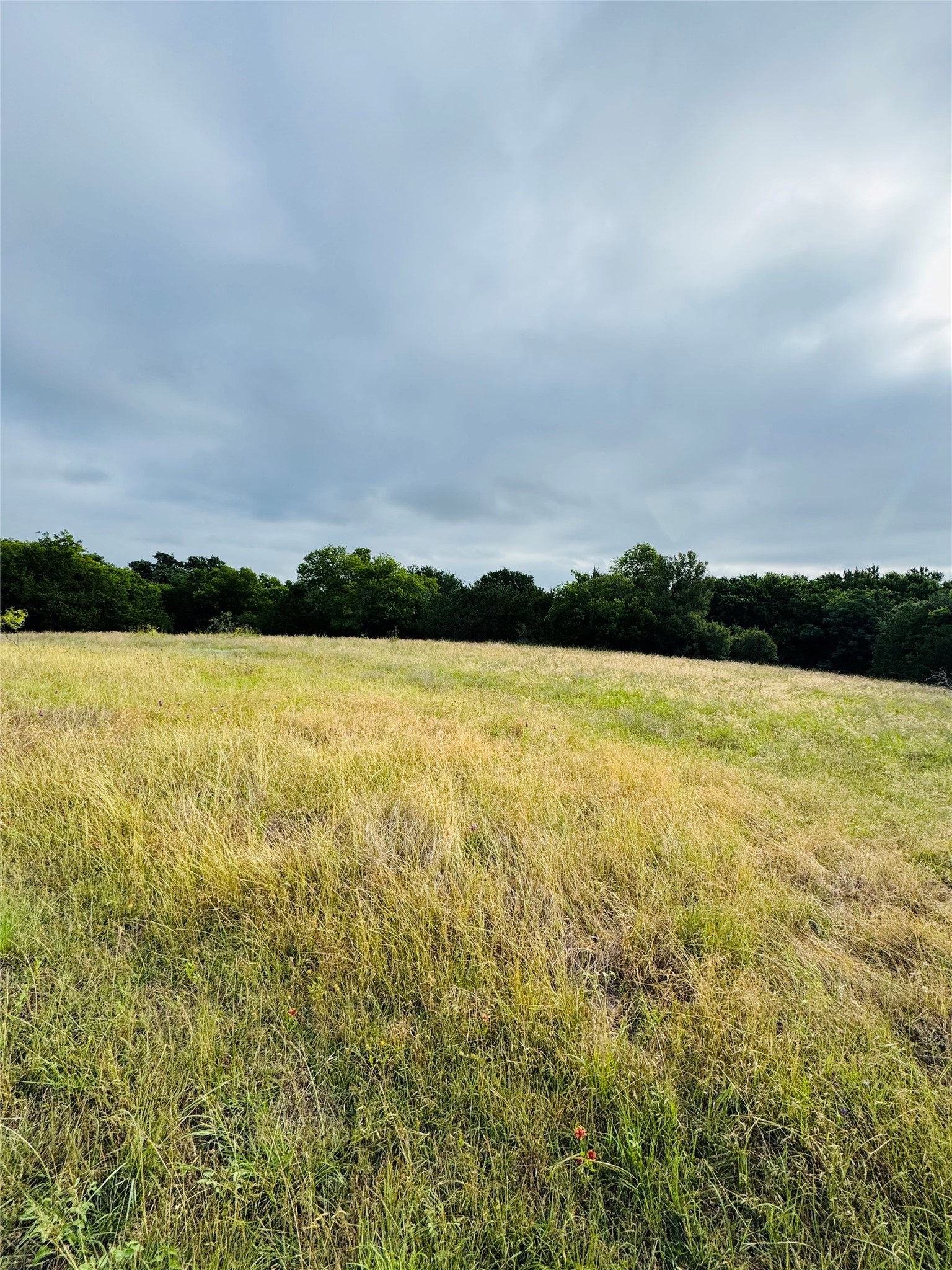 1445 Lakeside Trail Whitney TX 76692