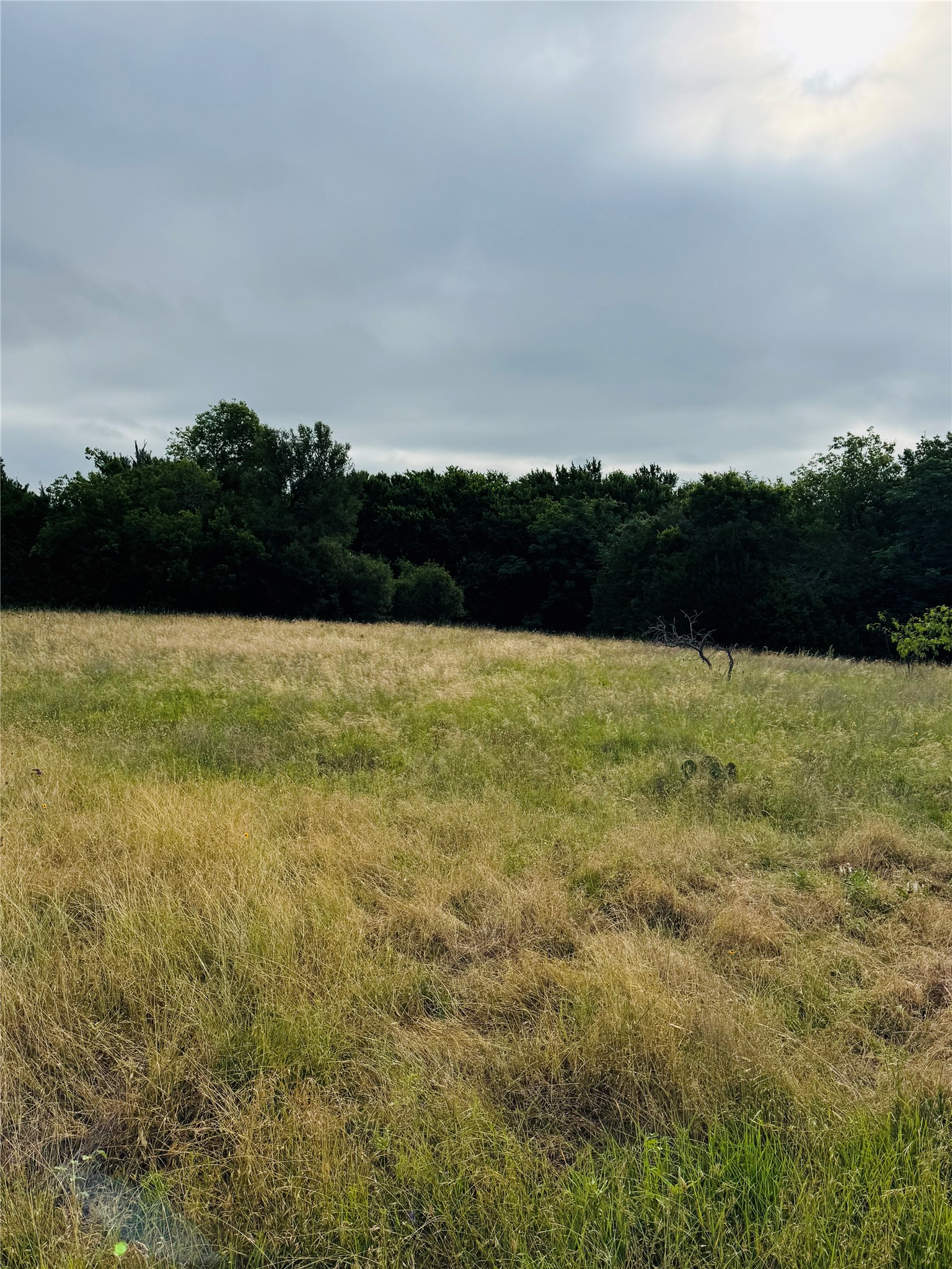 1445 Lakeside Trail Whitney TX 76692