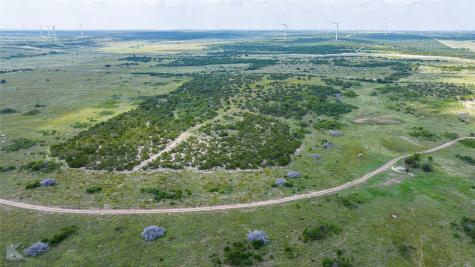 3402 County Road 196 Blackwell TX 79506