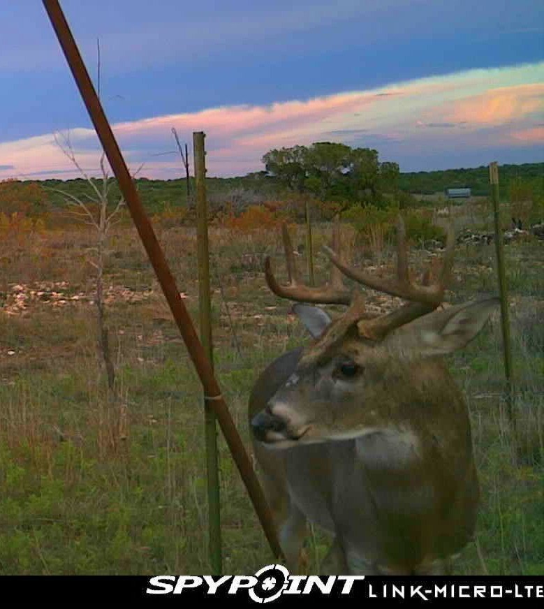 3402 County Road 196 Blackwell TX 79506