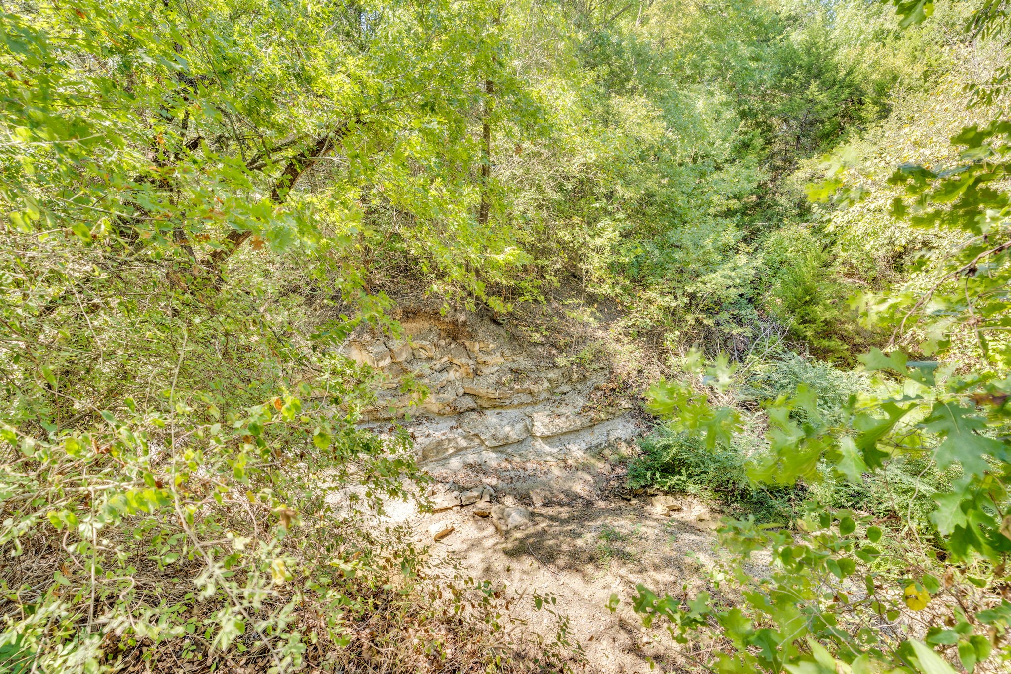 1310 Lariat Circle Oak Leaf TX 75154
