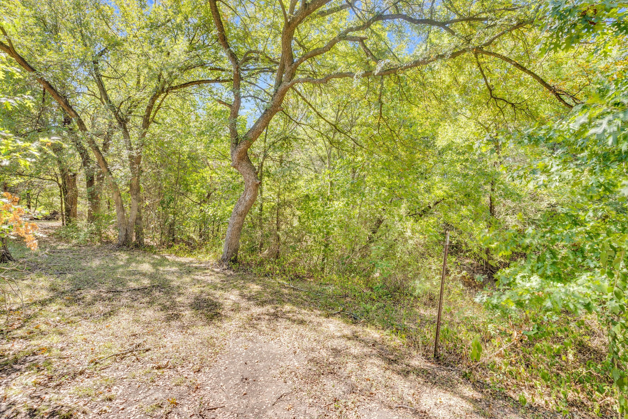 1310 Lariat Circle Oak Leaf TX 75154