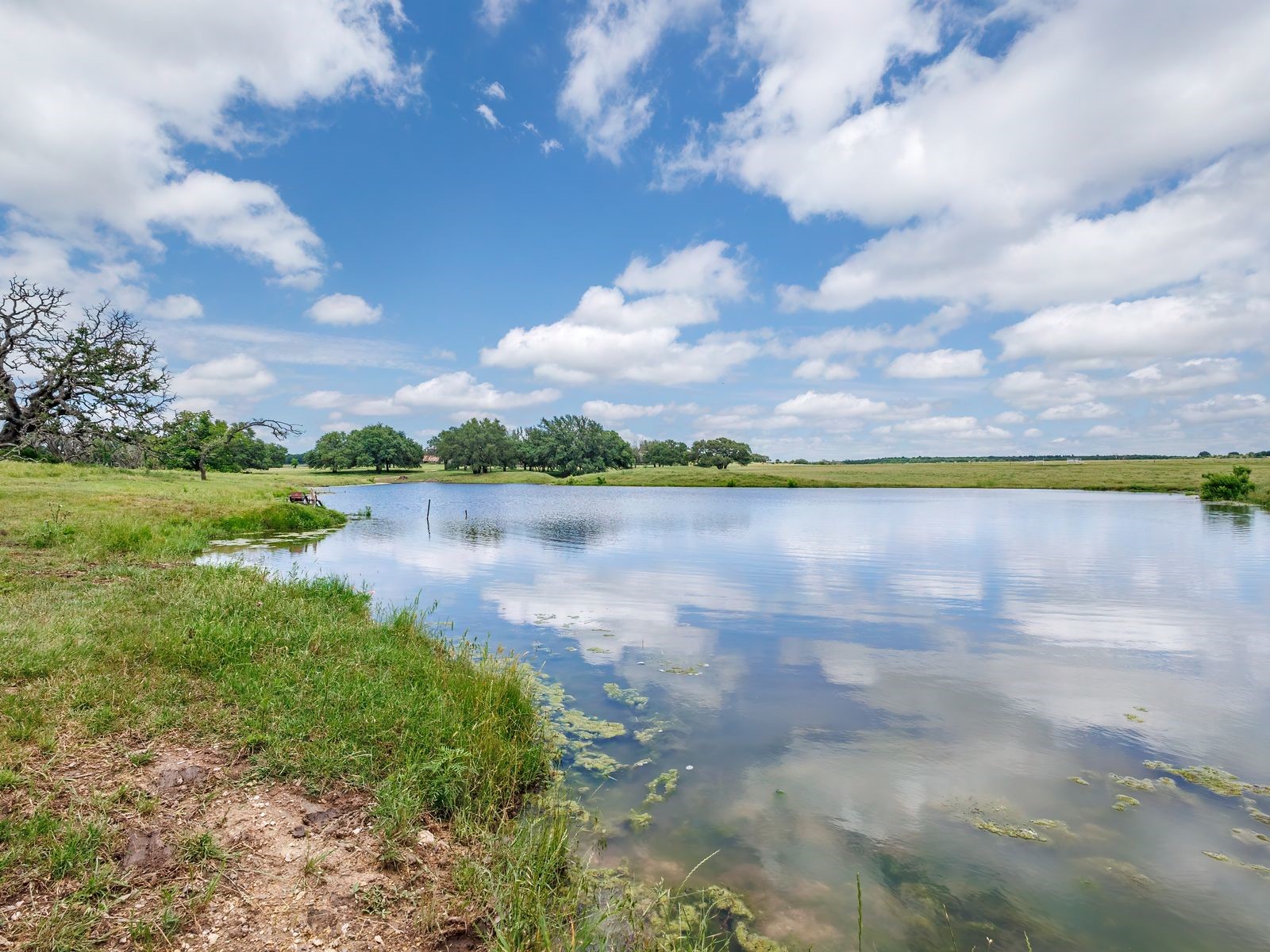 1665 Farm To Market 1047 Hamilton TX 76531