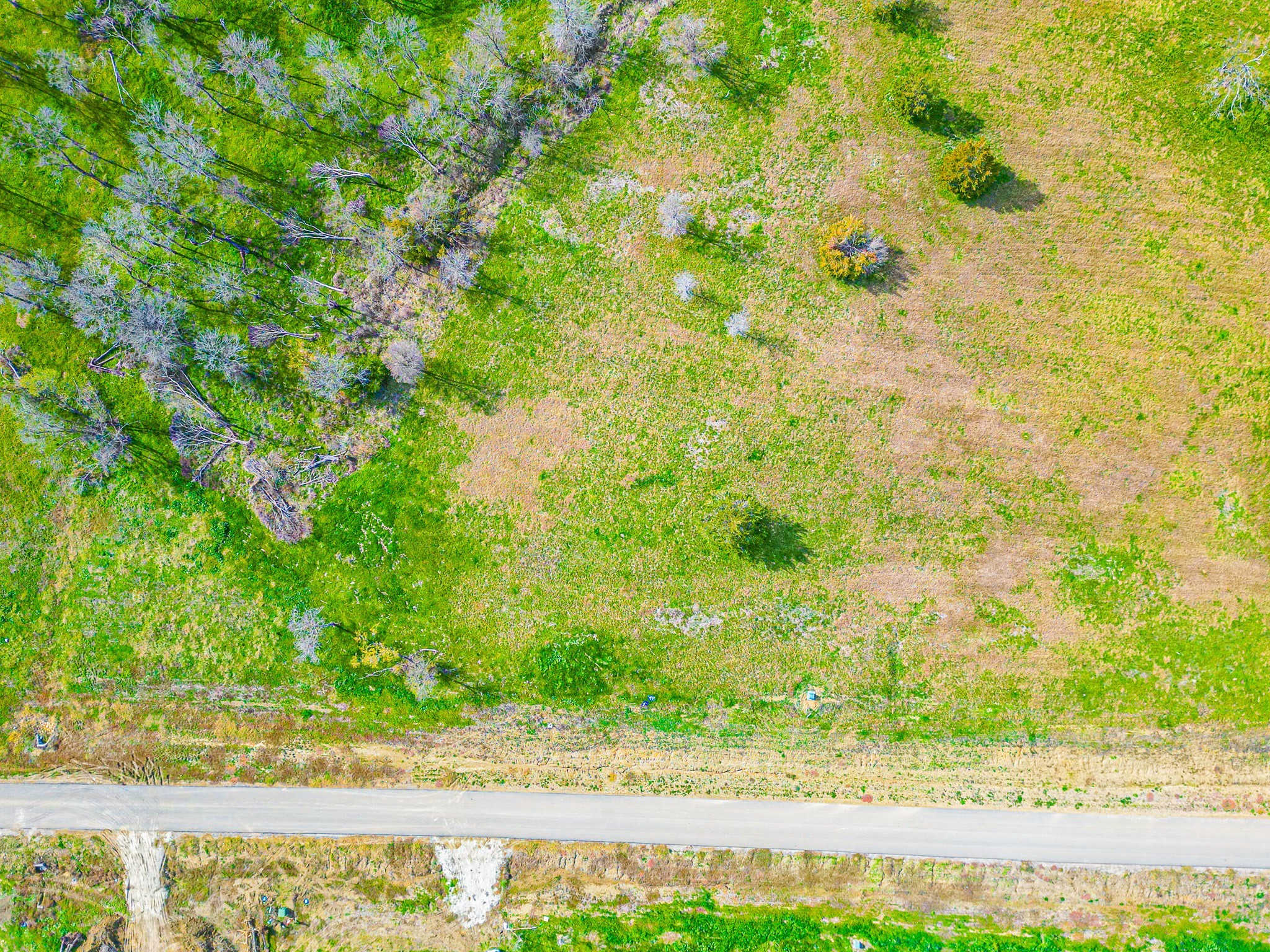Tbd Lot 99 Emerald Lane Corsicana TX 75109