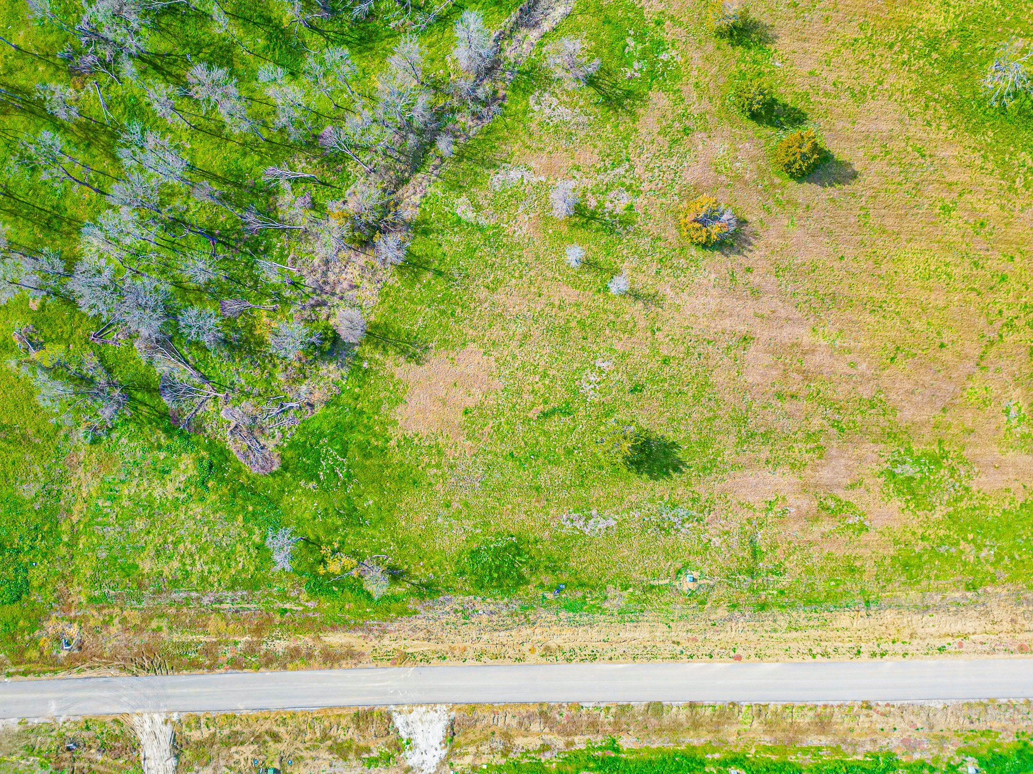 Tbd Lot 99 Emerald Lane Corsicana TX 75109