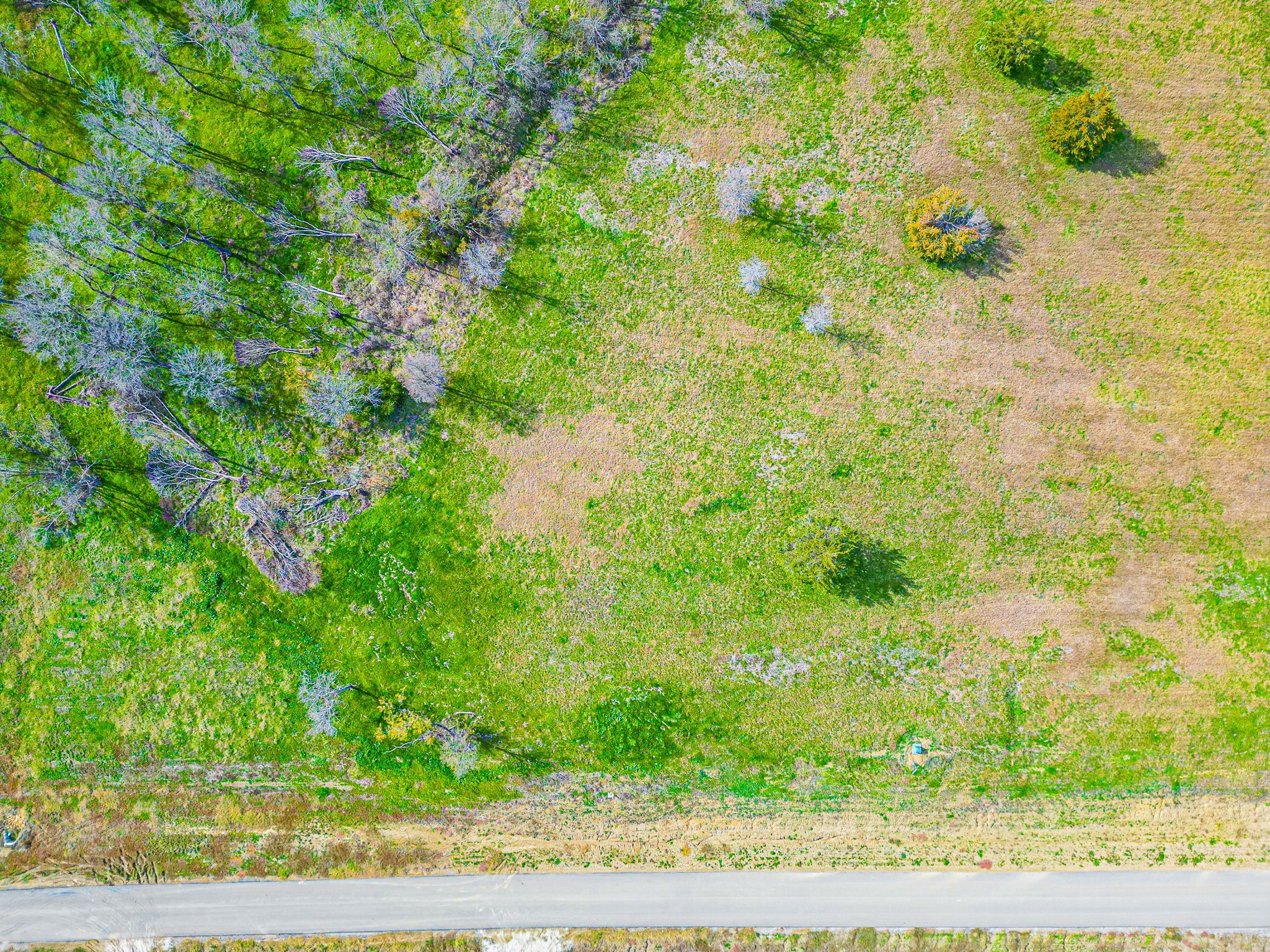 Tbd Lot 99 Emerald Lane Corsicana TX 75109