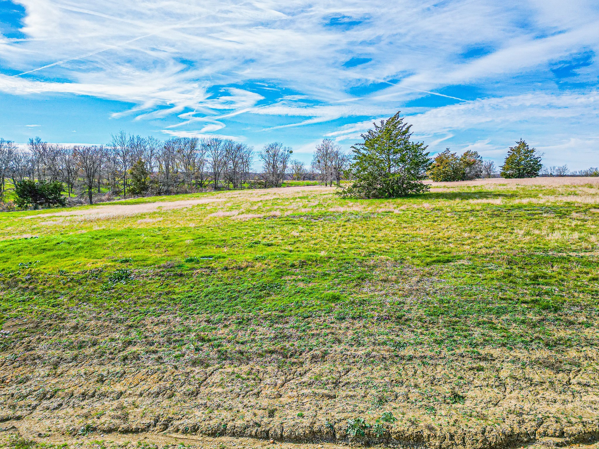 Tbd Lot 99 Emerald Lane Corsicana TX 75109