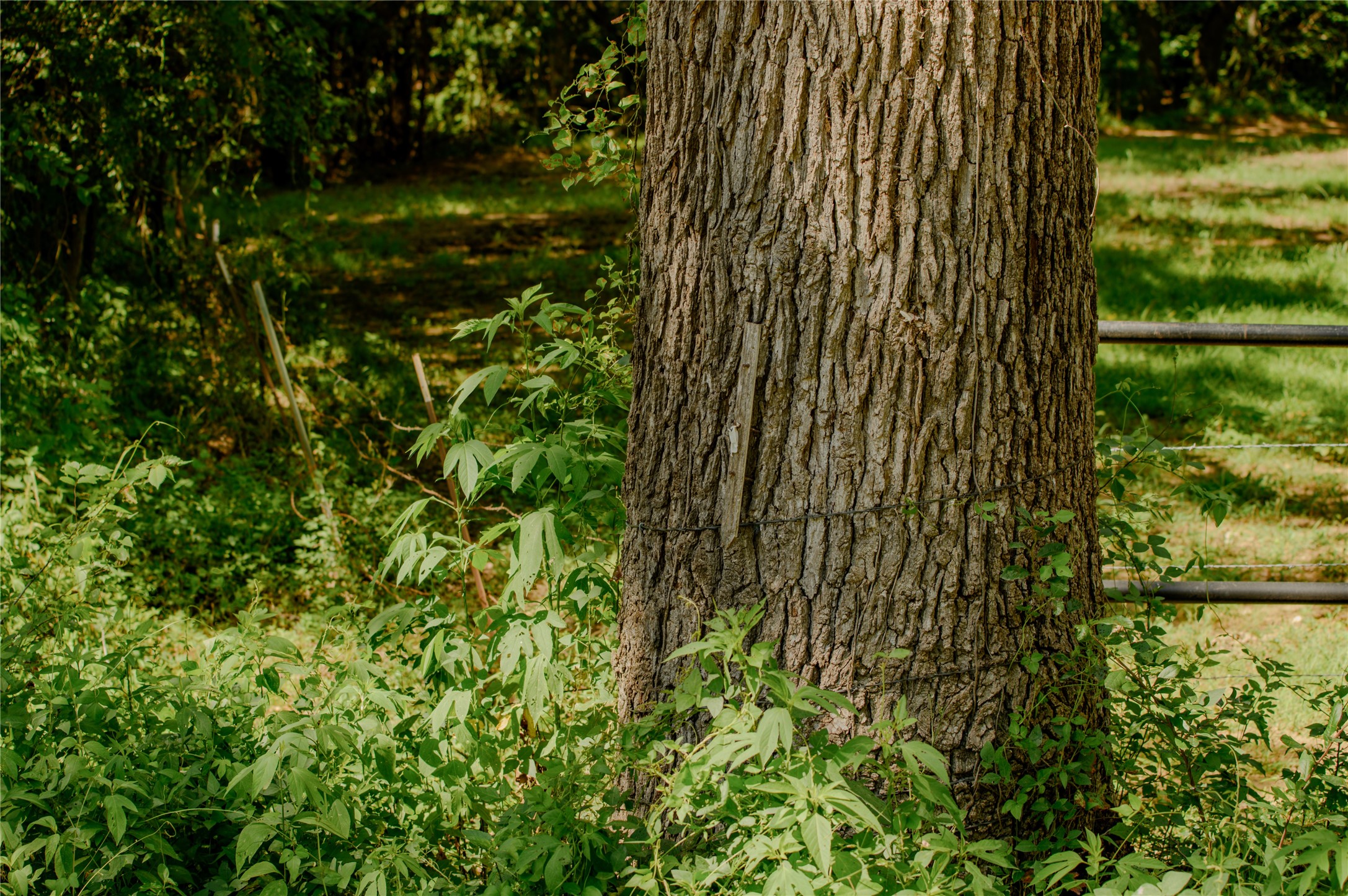 Tbd Fm 901 Sadler TX 76264