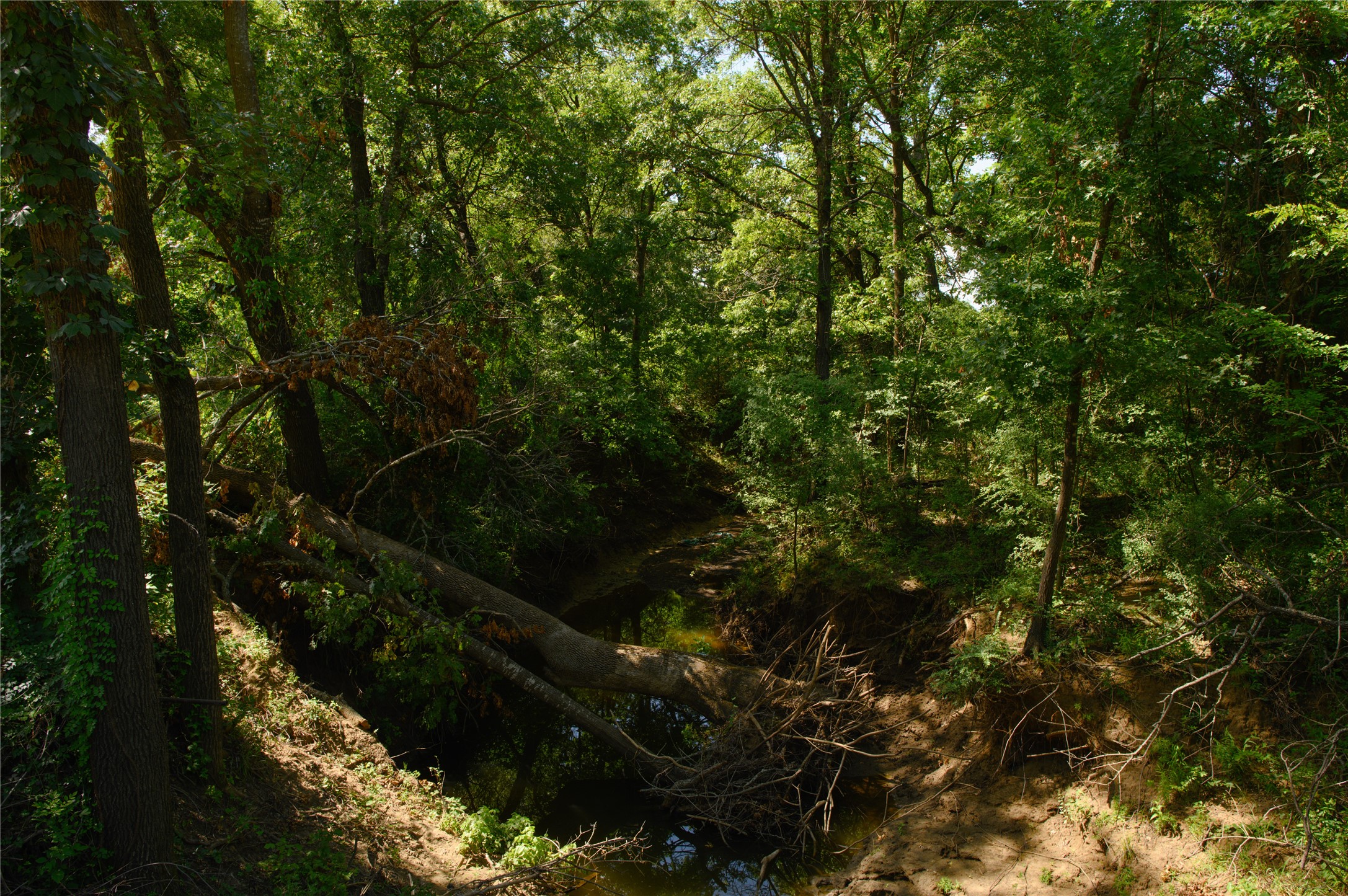 Tbd Fm 901 Sadler TX 76264