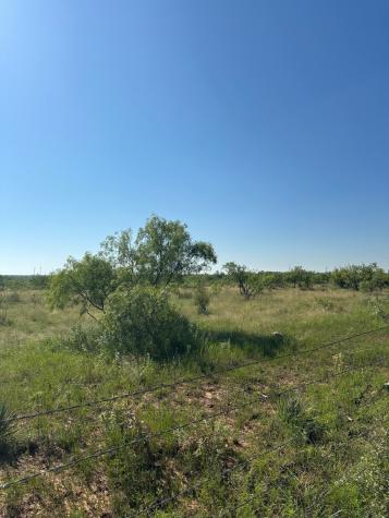 Tract 12 Cr 152 Abilene TX 79601