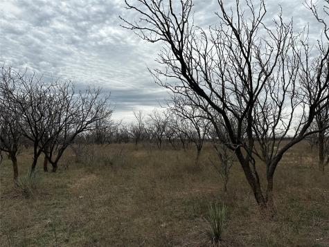 Tract 12 Cr 152 Abilene TX 79601
