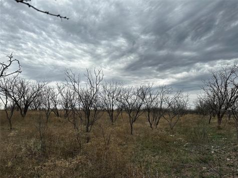 Tract 12 Cr 152 Abilene TX 79601