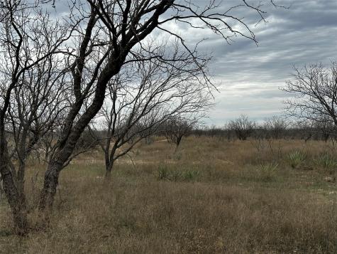 Tract 12 Cr 152 Abilene TX 79601