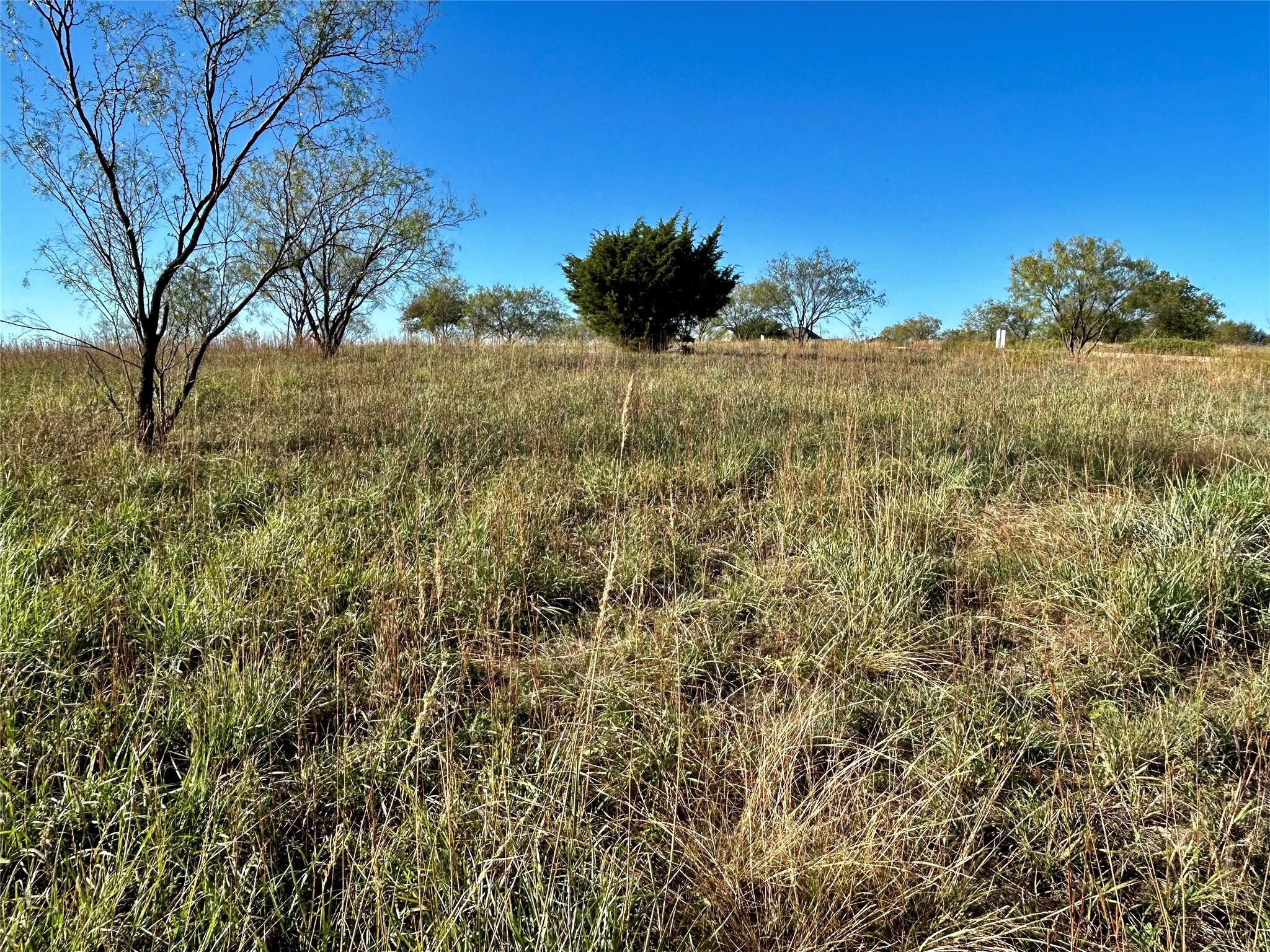 2036 Hidden Bluff Drive Aledo TX 76008