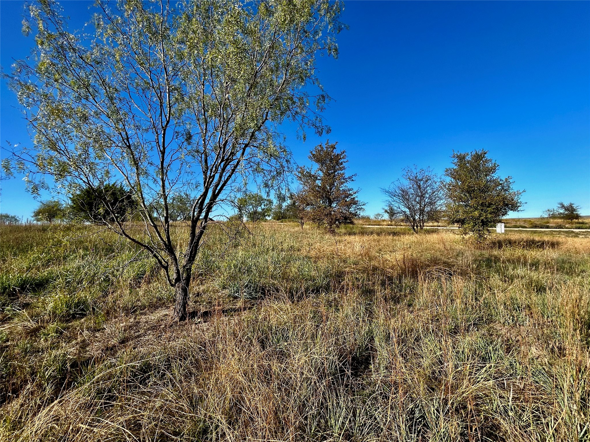 2036 Hidden Bluff Drive Aledo TX 76008