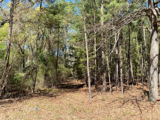 Tbd Armadillo Drive Murchison TX 75778