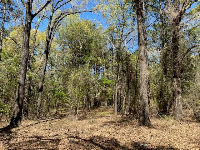 Tbd Armadillo Drive Murchison TX 75778