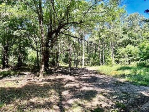 75 Acres Highway 37 Clarksville TX 75426