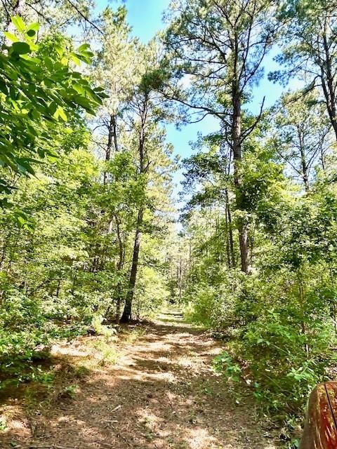 75 Acres Highway 37 Clarksville TX 75426