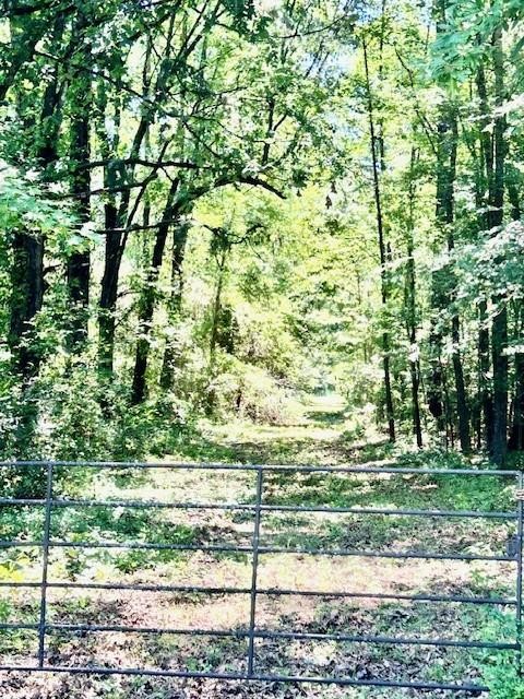 75 Acres Highway 37 Clarksville TX 75426