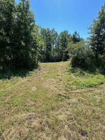 75 Acres Highway 37 Clarksville TX 75426