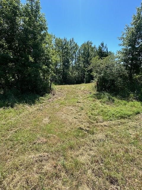 75 Acres Highway 37 Clarksville TX 75426