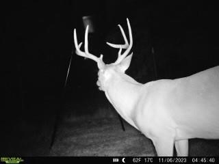 75 Acres Highway 37 Clarksville TX 75426