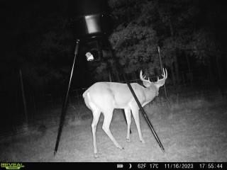 75 Acres Highway 37 Clarksville TX 75426
