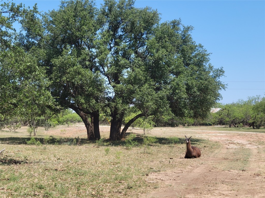 401 Cr 104 Santa Anna TX 76878