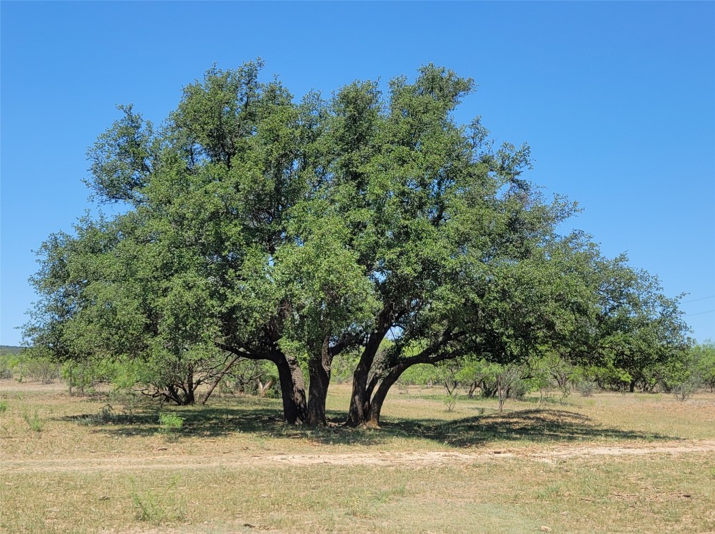 401 Cr 104 Santa Anna TX 76878