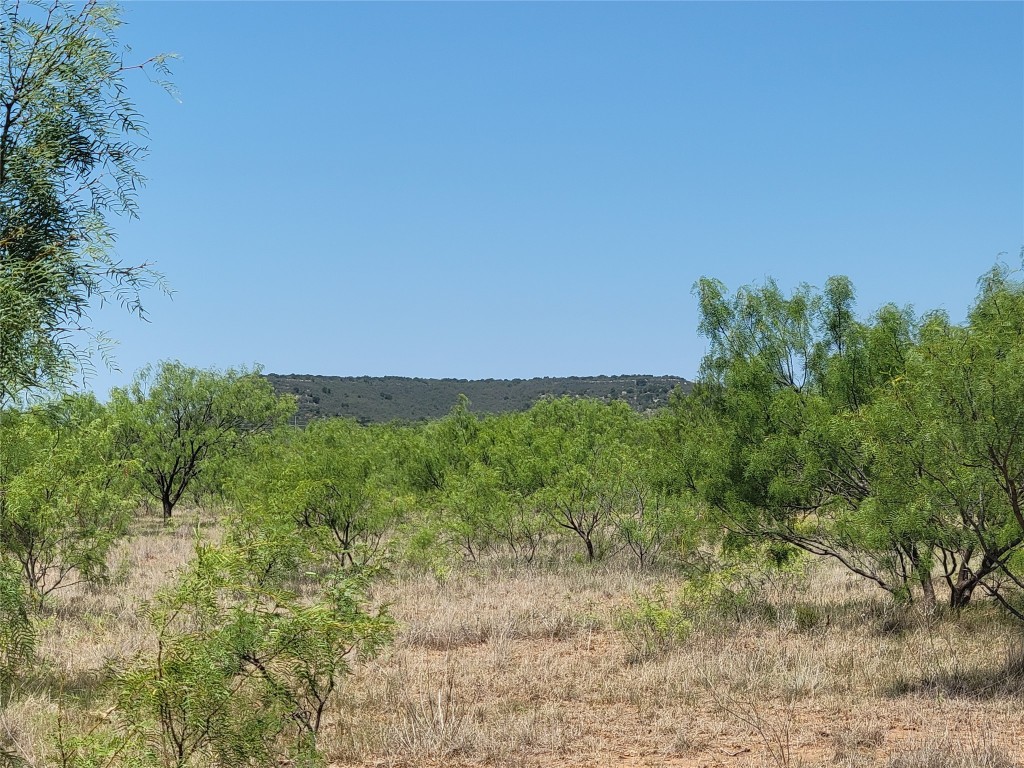 401 Cr 104 Santa Anna TX 76878