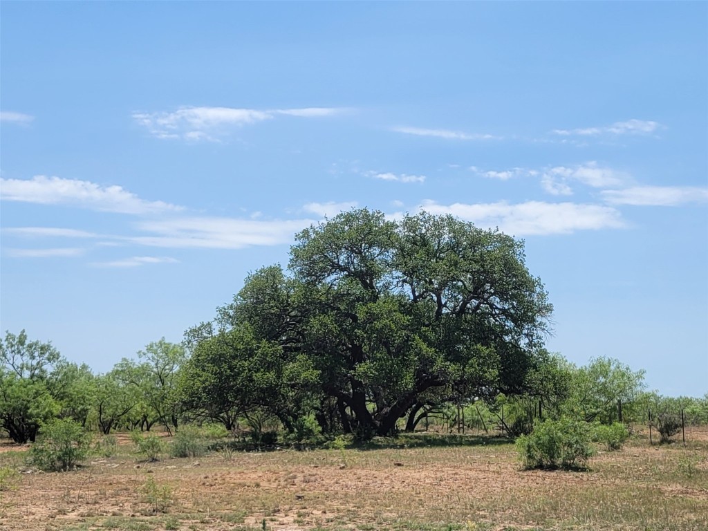 401 Cr 104 Santa Anna TX 76878