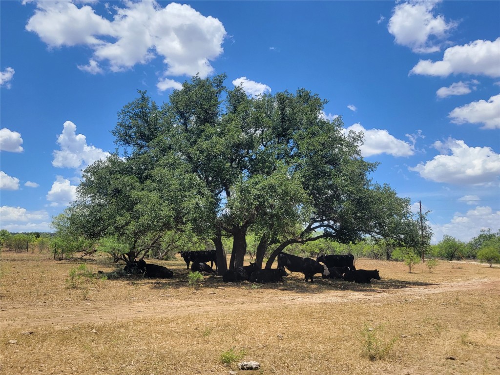 401 Cr 104 Santa Anna TX 76878